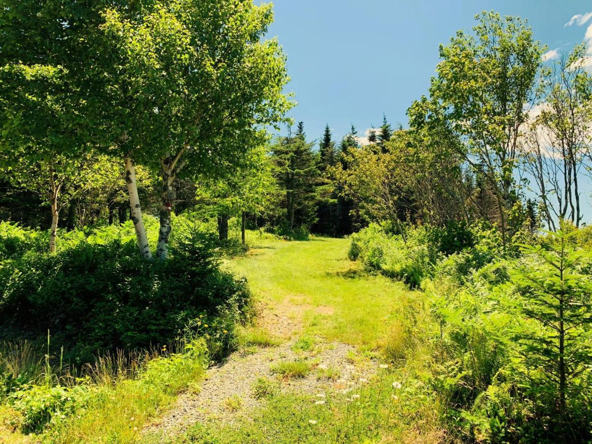 Eagle Valley Cottages Queensport Экстерьер фото